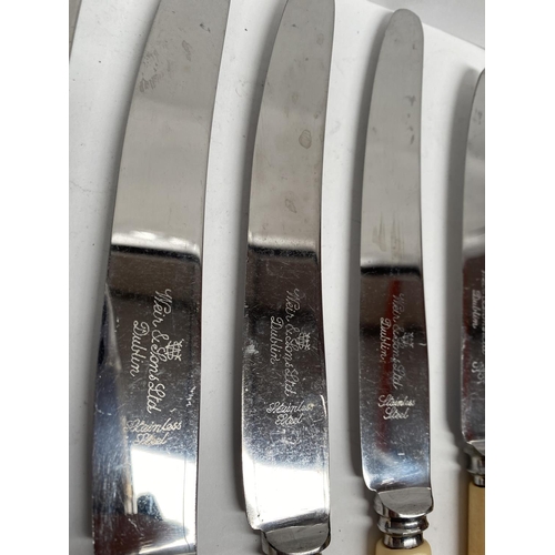 228 - A COLLECTION OF WEIR & SON LTD DUBLIN STAINLESS STEEL KNIVES, with resin handles, in two sizes (10 p... 