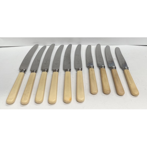 228 - A COLLECTION OF WEIR & SON LTD DUBLIN STAINLESS STEEL KNIVES, with resin handles, in two sizes (10 p... 