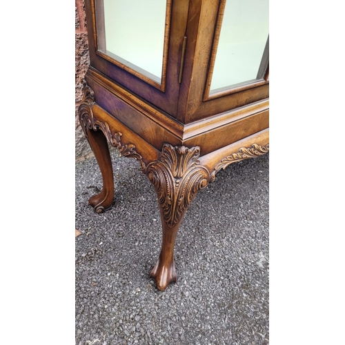 114 - A GOOD QUALITY TWO DOOR GLAZED CABINET, raised on a nice decorative scrolling carved leg, with carve... 