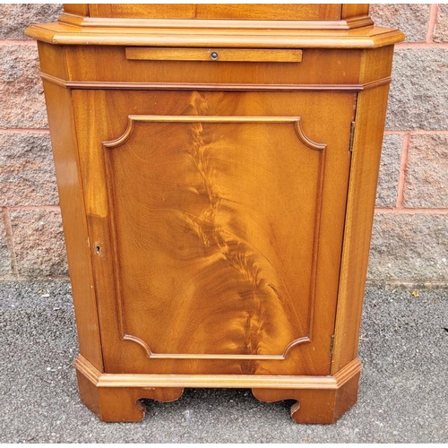 130 - AN ASTRAGAL GLAZED CORNER CABINET, with a brush slide above the cabinet, raised on bracket feet, 181... 