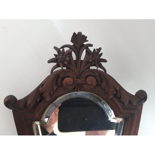 164 - A UNIQUE CARVED HARDWOOD HAND MIRROR, c.1900, hand carved, of cartouche form, with floral bouquet ca... 