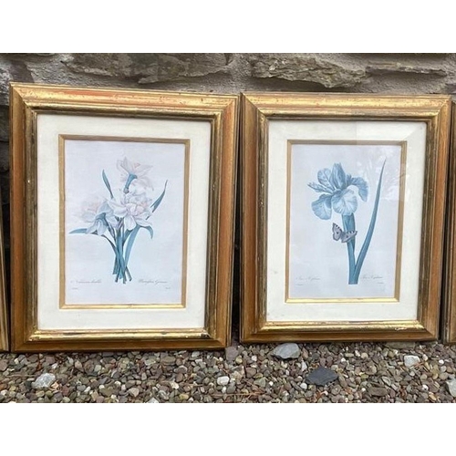 168 - A SET OF FOUR VINTAGE GILT FRAMED PRINTS, blue botanical prints, with inscriptions below image, in f... 