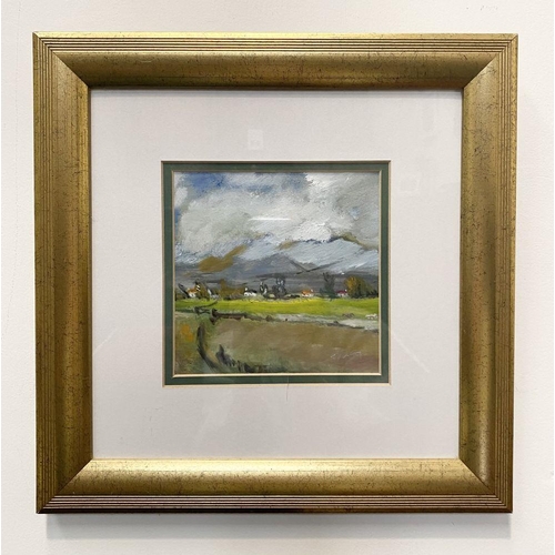 28 - TERRY DELANEY (Irish, 20th Century), “SMALL FARM LANDS”, oil on board, signed lower right, inscribed... 