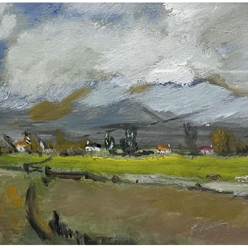 28 - TERRY DELANEY (Irish, 20th Century), “SMALL FARM LANDS”, oil on board, signed lower right, inscribed... 