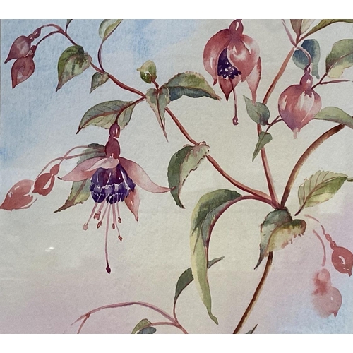 76 - SUE VAN COPPENHAGEN (20th Century), “FUCHSIA”, watercolour, signed lower centre, artists label verso... 