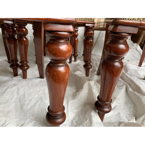 170 - A FINE SET OF 8 VICTORIAN MAHOGANY BALLOON BACKED DINING CHAIRS, each with stuffed over seat and rai... 