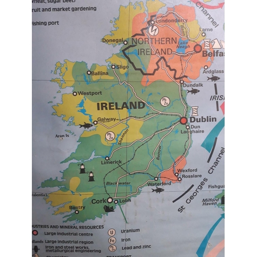 226 - A LARGE OLD WALL MAP OF IRELAND & THE UK, ‘BRITISH ISLES AGRICULTURE-ECONOMY’ MAP, showing the break... 