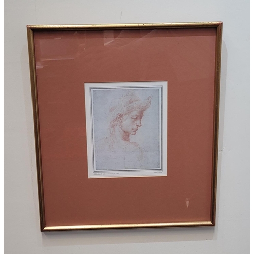 249 - A FRAMED PRINT, AFTER MICHELANGELO BUONARROTI, (1475 – 1564) IDEAL HEAD, 46 x 40.5cm frame.