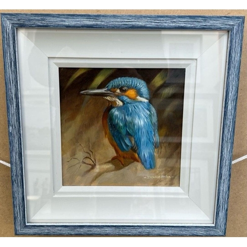 128 - DAVID PRICE (British, 20th Century), ‘KINGFISHER’, oil on canvas, signed lower right, dimensions: 13... 