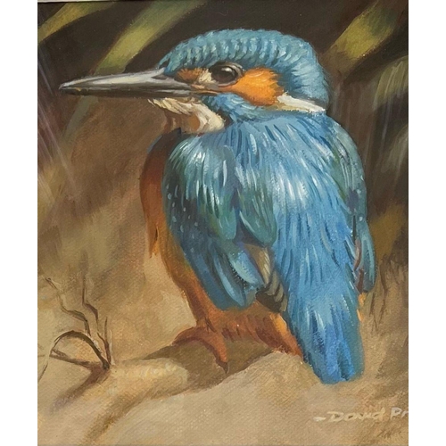 128 - DAVID PRICE (British, 20th Century), ‘KINGFISHER’, oil on canvas, signed lower right, dimensions: 13... 