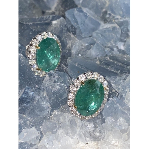 135 - A PAIR OF WONDERFUL 18CT WHITE GOLD COLUMBIAN EMERALD AND DIAMOND EARRINGS, the total Emerald weight... 