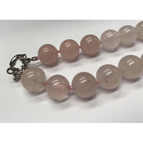 65 - A LOVELY ROSE QUARTZ BEADED NECKLACE, with silver tone clasp, 27cm long approx.