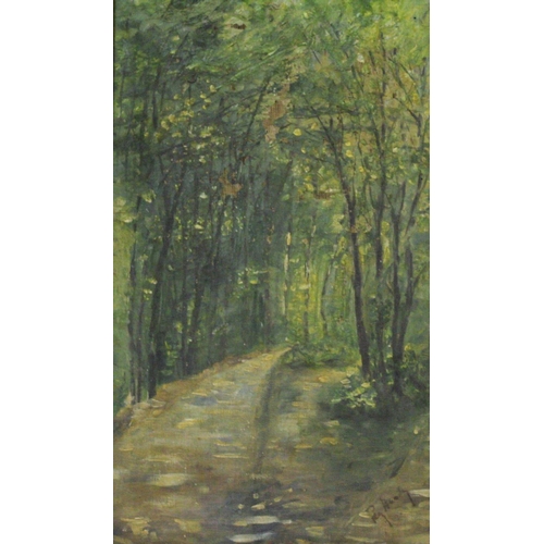 72 - PEG HEALY (Irish, 20th Century), 'DUKE'S WOOD TRAIL',  oil on canvas, signed by the artist on the lo... 