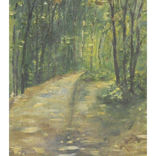 72 - PEG HEALY (Irish, 20th Century), 'DUKE'S WOOD TRAIL',  oil on canvas, signed by the artist on the lo... 