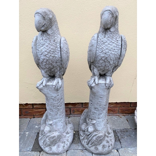 247 - A PAIR OF STONE GARDEN FIGURES, in the form of parrots on tree stumps, dimensions: 89cm high approx