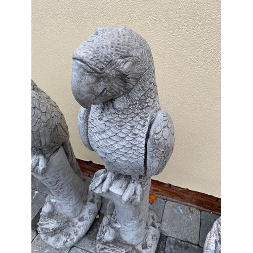 247 - A PAIR OF STONE GARDEN FIGURES, in the form of parrots on tree stumps, dimensions: 89cm high approx