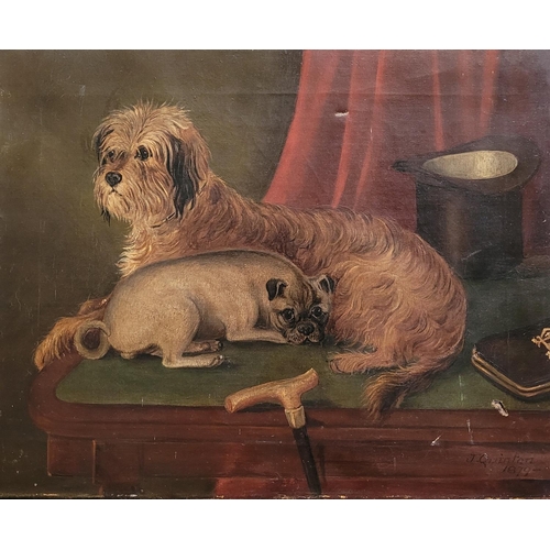 60 - J. QUINTON, (19TH CENTURY), ANIMAL PORTRAIT WITH TOP HAT, oil on canvas, signed lower right & dated ... 