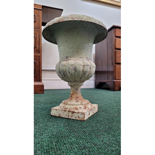 124 - A FANTASTIC 19TH CENTURY CAST IRON MEDICI GARDEN URN, miniature size, with roll over rim having gadr... 