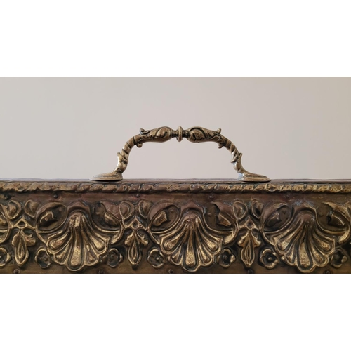 196 - AN ARTS N CRAFTS BRASS FRAMED FIRE SCREEN, the frame to the front with embossed floral & shell desig... 