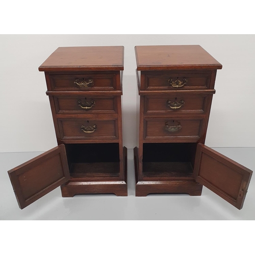 24 - A FINE PAIR OF 19TH CENTURY STRAIGHT GRAIN WALNUT BEDSIDE CABINETS / LAMP CABINETS, each with a set ... 