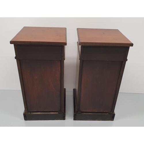 24 - A FINE PAIR OF 19TH CENTURY STRAIGHT GRAIN WALNUT BEDSIDE CABINETS / LAMP CABINETS, each with a set ... 