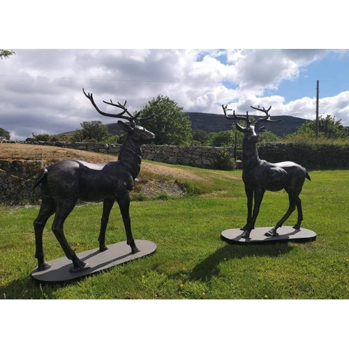 241 - AN IMPRESSIVE PAIR OF CAST METAL GARDEN ORNAMENTS IN THE FORM OF TWO STAGS, each standing upon an ov... 