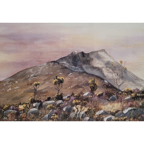 32 - HALL, MOUNTAIN GORSE, watercolour on paper, signed lower left, 32 x 22cm painting, 52 x 43cm frame