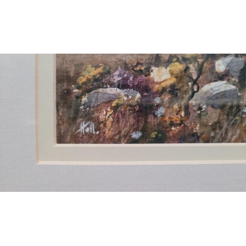 32 - HALL, MOUNTAIN GORSE, watercolour on paper, signed lower left, 32 x 22cm painting, 52 x 43cm frame