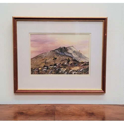 32 - HALL, MOUNTAIN GORSE, watercolour on paper, signed lower left, 32 x 22cm painting, 52 x 43cm frame