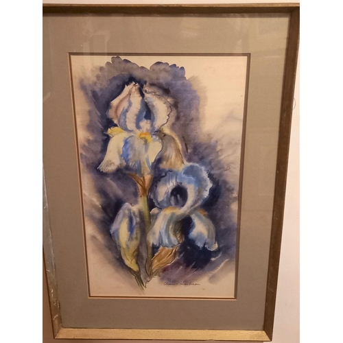 101 - ELEANOR HARBISON (Irish, 1922 - 2007), ‘IRIS’, watercolour on paper, signed lower right, inscribed v... 