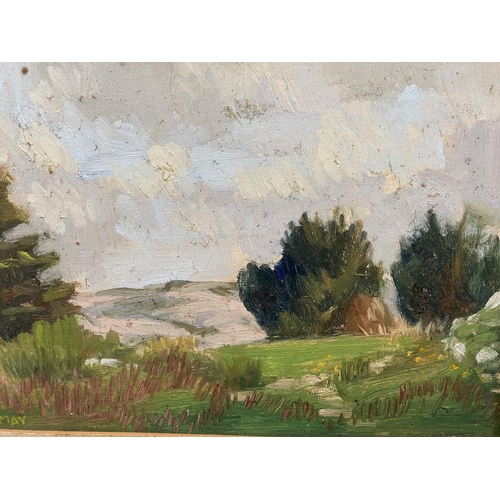 102 - ROGER MAY (20th Century), 'WHITE MOUNTAIN', oil on canvas board, signed lower left, inscribed with t... 