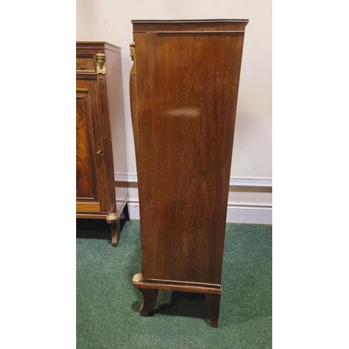 29 - A PAIR OF 19TH CENTURY FRENCH MAHOGANY TALL SIDE / LAMP CABINETS, each with a single frieze drawer o... 