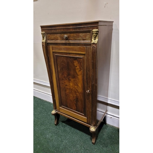 29 - A PAIR OF 19TH CENTURY FRENCH MAHOGANY TALL SIDE / LAMP CABINETS, each with a single frieze drawer o... 