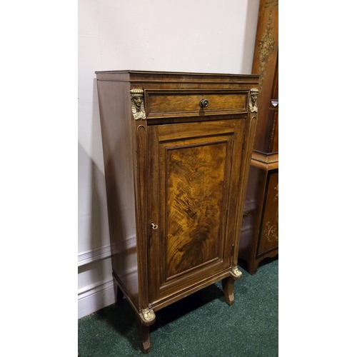 29 - A PAIR OF 19TH CENTURY FRENCH MAHOGANY TALL SIDE / LAMP CABINETS, each with a single frieze drawer o... 