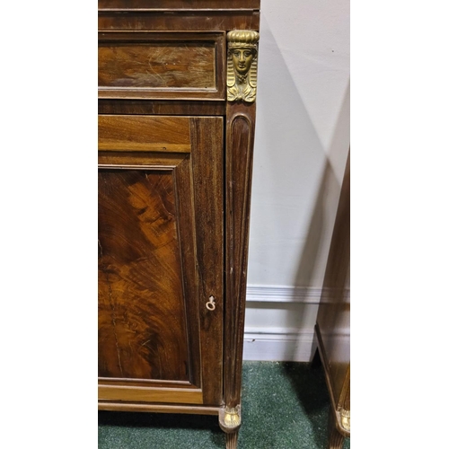 29 - A PAIR OF 19TH CENTURY FRENCH MAHOGANY TALL SIDE / LAMP CABINETS, each with a single frieze drawer o... 