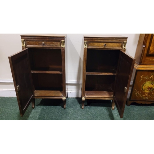 29 - A PAIR OF 19TH CENTURY FRENCH MAHOGANY TALL SIDE / LAMP CABINETS, each with a single frieze drawer o... 