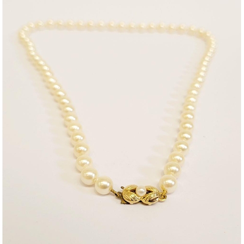 61 - A SINGLE STRAND PEARL NECKLACE, with nice decorative gilt metal clasp, cased in a Noriko Pearl box. ... 