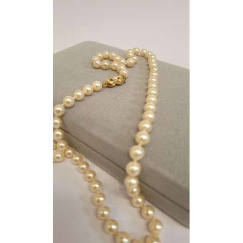 61 - A SINGLE STRAND PEARL NECKLACE, with nice decorative gilt metal clasp, cased in a Noriko Pearl box. ... 