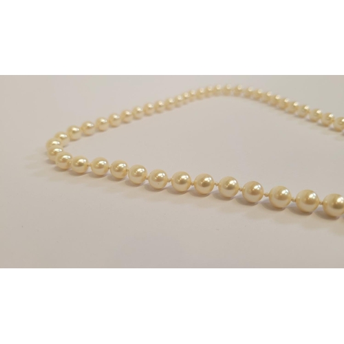 61 - A SINGLE STRAND PEARL NECKLACE, with nice decorative gilt metal clasp, cased in a Noriko Pearl box. ... 