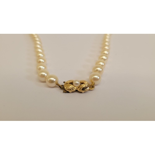 61 - A SINGLE STRAND PEARL NECKLACE, with nice decorative gilt metal clasp, cased in a Noriko Pearl box. ... 