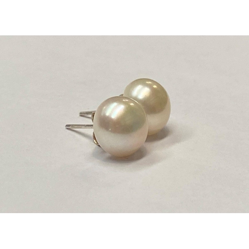 74 - A PAIR OF PEARL STUD EARRINGS, with silver backs, marked 925