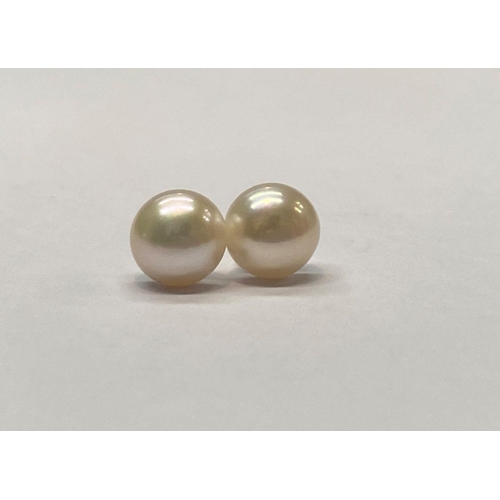 74 - A PAIR OF PEARL STUD EARRINGS, with silver backs, marked 925