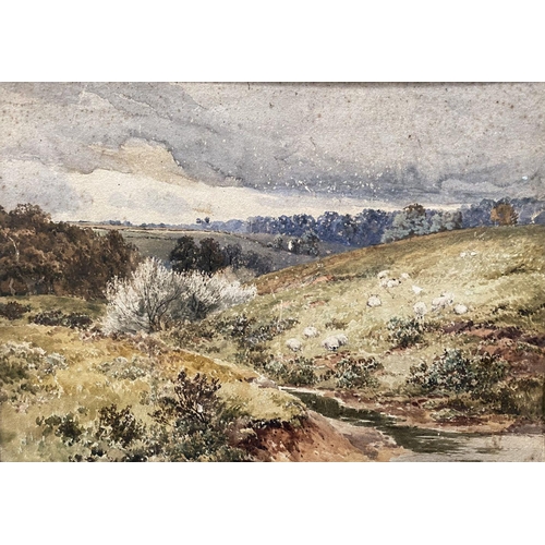 75 - C.H. POWELL (19th Century), ‘COUNTRYSIDE LANDSCAPE’, watercolour on card, with sheep to foreground, ... 