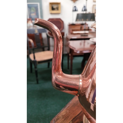 168 - A LOVELY VINTAGE POLISHED COPPER TEA/COFFEE POT, with removable strainer section. Nice detail to the... 