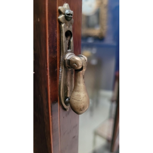 45 - A VERY FINE EDWARDIAN GLAZED DISPLAY CABINET, with inlaid decoration throughout, the central glazed ... 