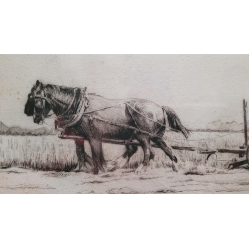 66 - GERALD E. HARRISON (BRITISH 1894 – 1972) A PAIR OF DRYPOINT ETCHINGS OF FARMING SCENES, (i) TWO HORS... 