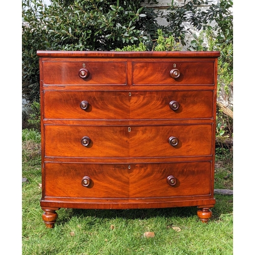 9 - A VERY GOOD QUALITY WILLIAM IV BOW FRONTED CHEST OF DRAWERS, crafted in beautifully patinated flame ... 