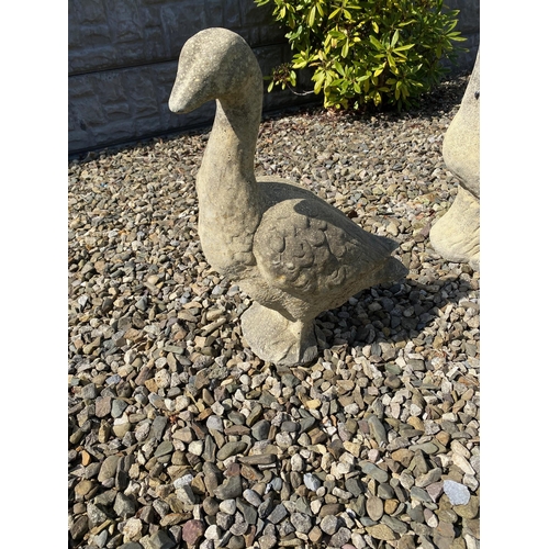 208 - A LOVELY STONE GARDEN ORNAMENT SET OF TWO GEESE, a female & male goose. Lovely garden ornament. One ... 