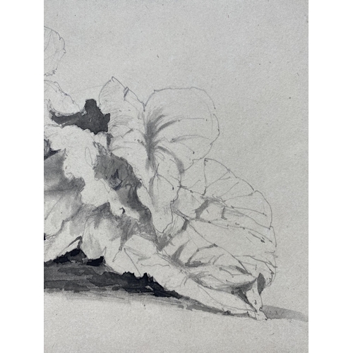 226 - SAMUEL GILLESPIE PROUT (British, 1822-1911), “STUDY OF RHUBARB”, graphite and watercolour on grey wo... 