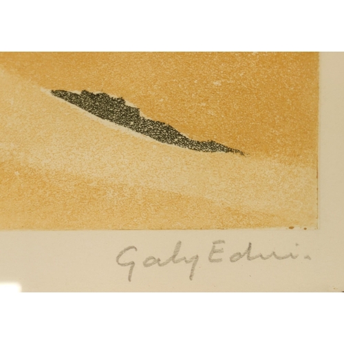 23 - GABY EDREI, (FRENCH 1936 - 2000), SABRE, Limited edition signed aquatint etching print. Inscribed ce... 